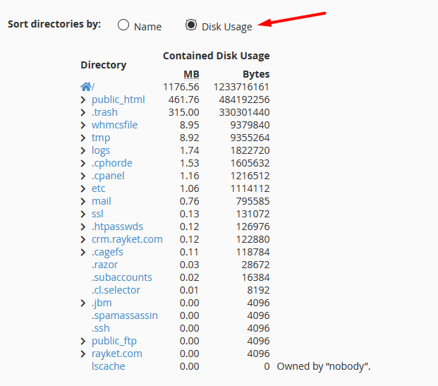 بررسی فضای اشغال شده در هاست cPanel