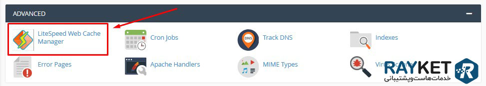 معرفی پلاگین LiteSpeed Web Cache Manager در سی پنل